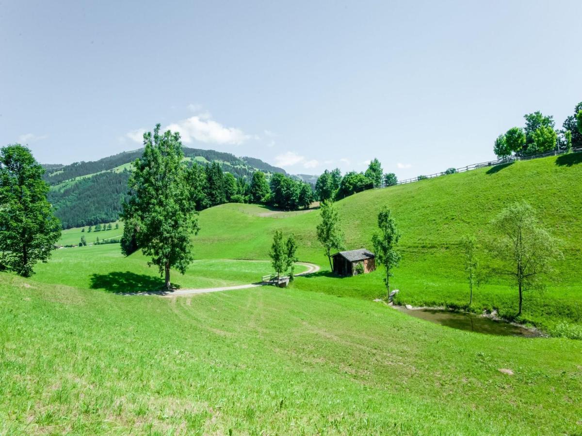 Cosy Flat In Westendorf In Tyrol Holzham ภายนอก รูปภาพ